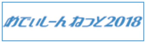 めでぃしーんねっと2018
