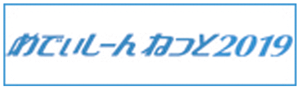めでぃしーんねっと2019